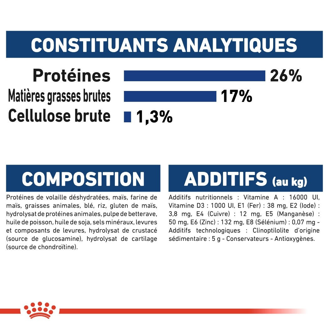 Royal Canin Maxi Adult - croquettes chien