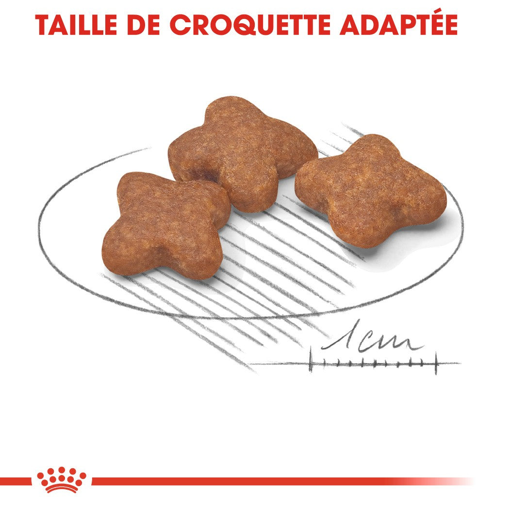 Royal Canin Mini Adult 8+ - croquettes chien