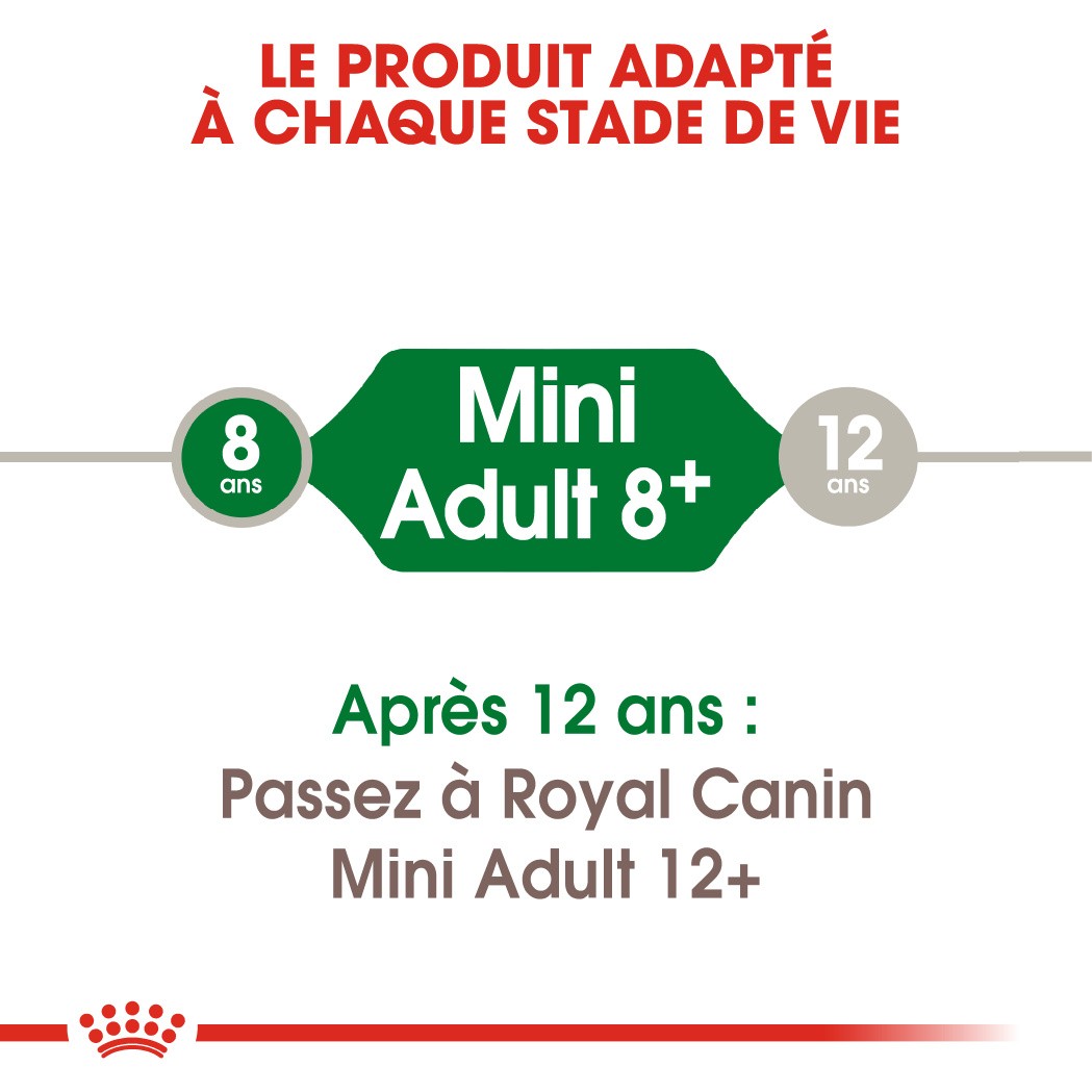 Royal Canin Mini Adult 8+ - croquettes chien