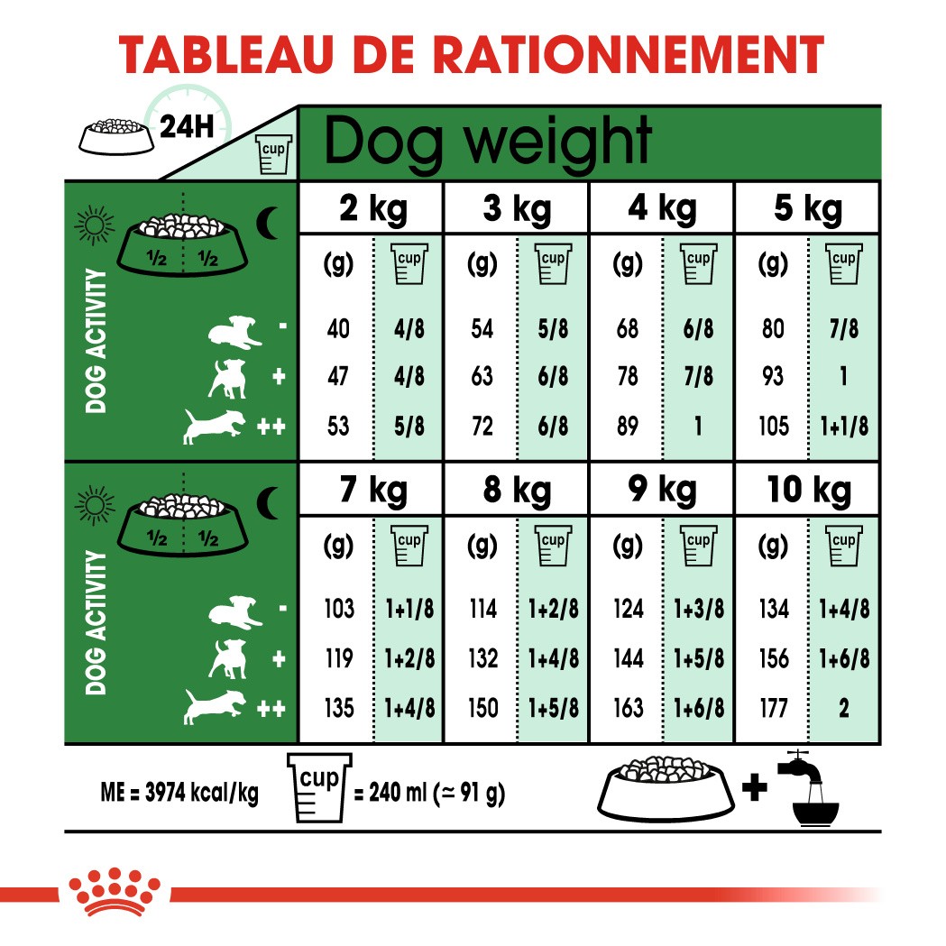 Royal Canin Mini Adult 8+ - croquettes chien