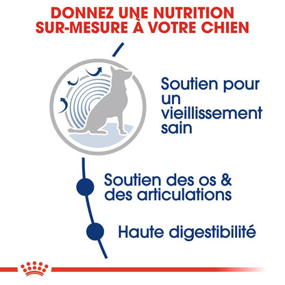 Royal Canin Maxi Ageing 8+ - Croquettes pour chien
