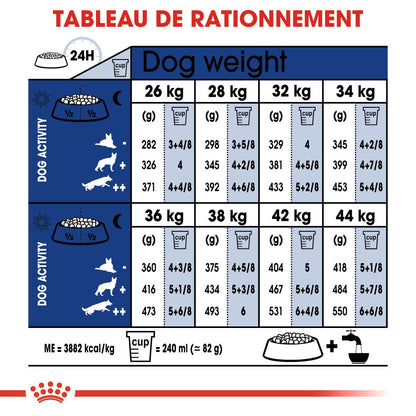 Royal Canin Maxi Ageing 8+ - Croquettes pour chien