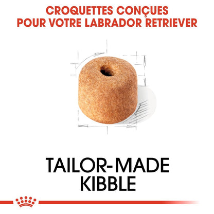 Royal Canin Labrador Retriever Adult - croquettes chien