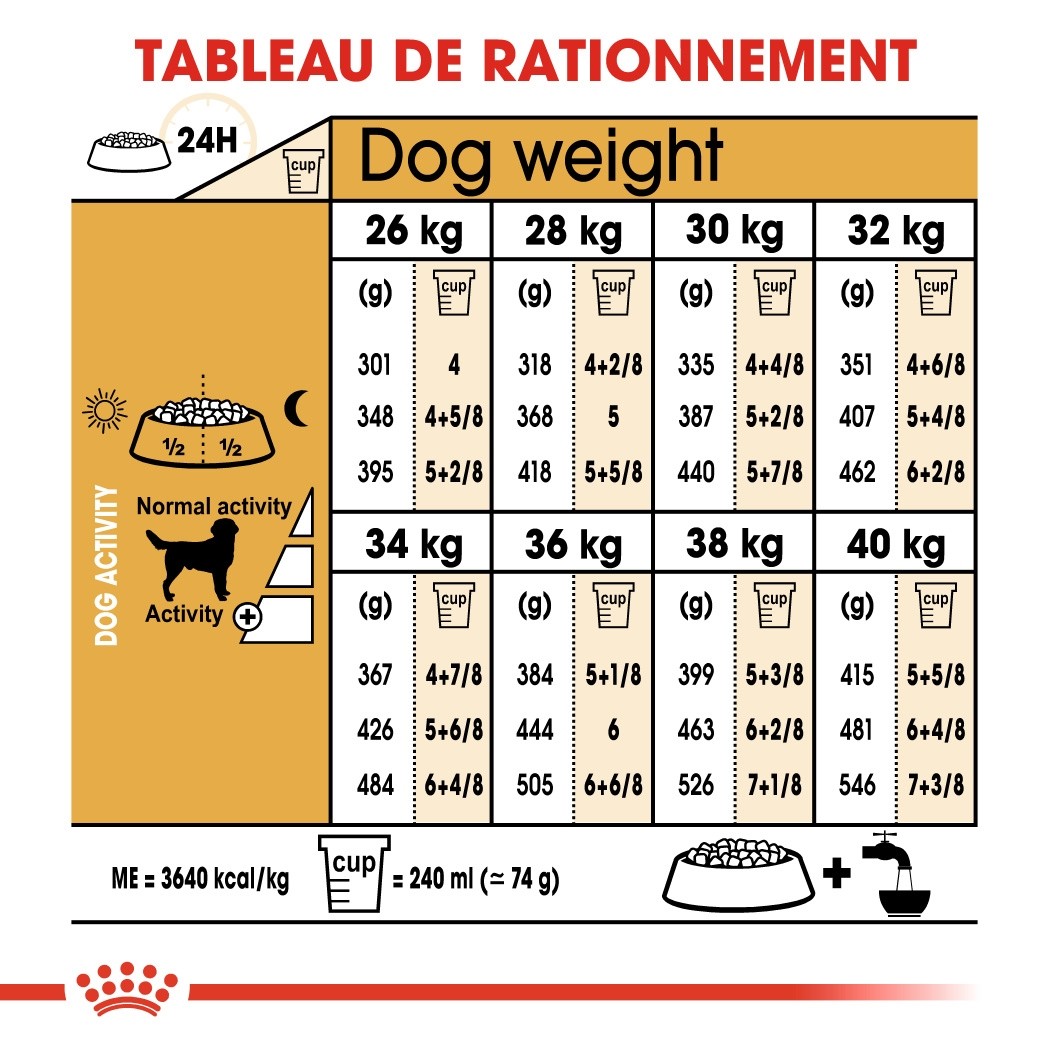 Royal Canin Labrador Retriever Adult - croquettes chien