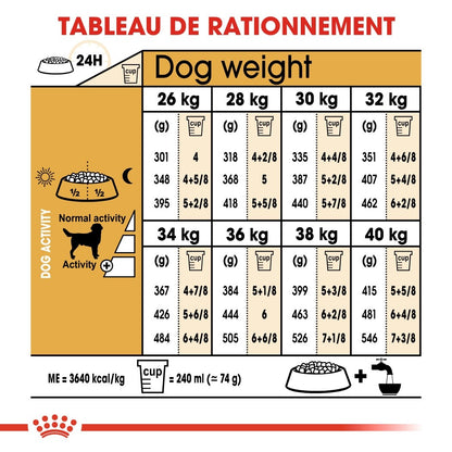 Royal Canin Labrador Retriever Adult - croquettes chien