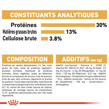 Royal Canin Labrador Retriever Adult - croquettes chien
