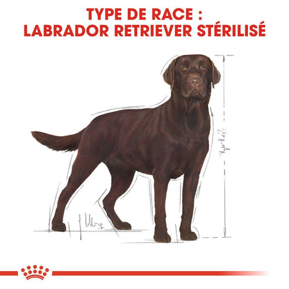 Royal Canin Labrador Retriever Sterilised Adult - croquettes chien