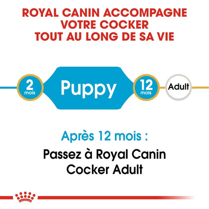 Royal Canin Cocker Puppy