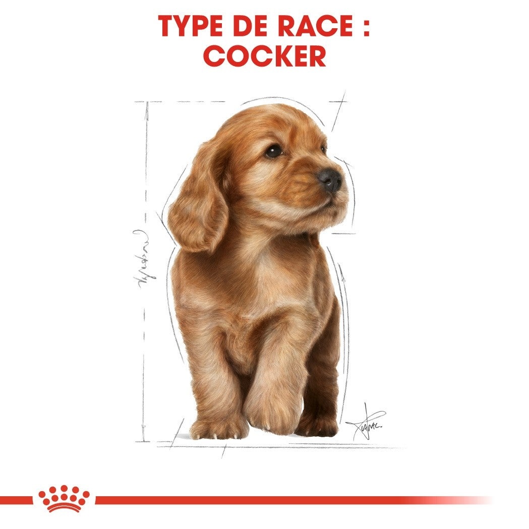 Royal Canin Cocker Puppy