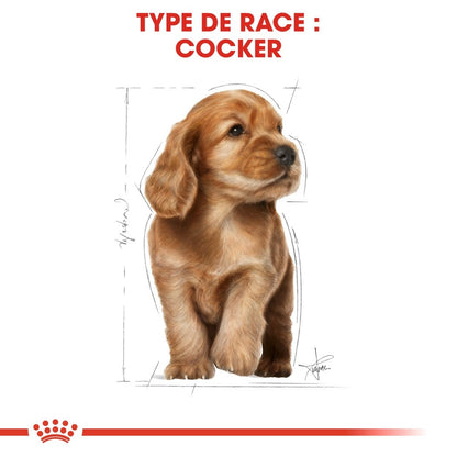 Royal Canin Cocker Puppy