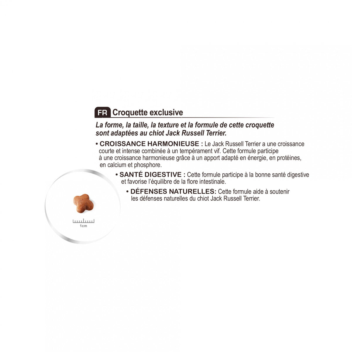 Royal Canin Jack Russell Puppy - croquettes chiot