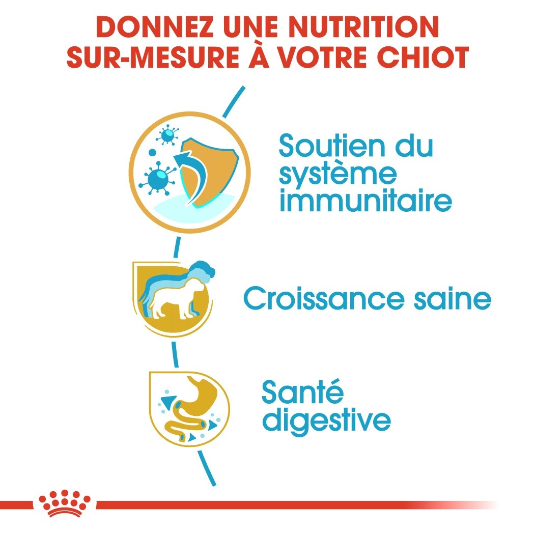 Royal Canin Jack Russell Puppy - croquettes chiot