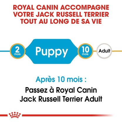 Royal Canin Jack Russell Puppy - croquettes chiot