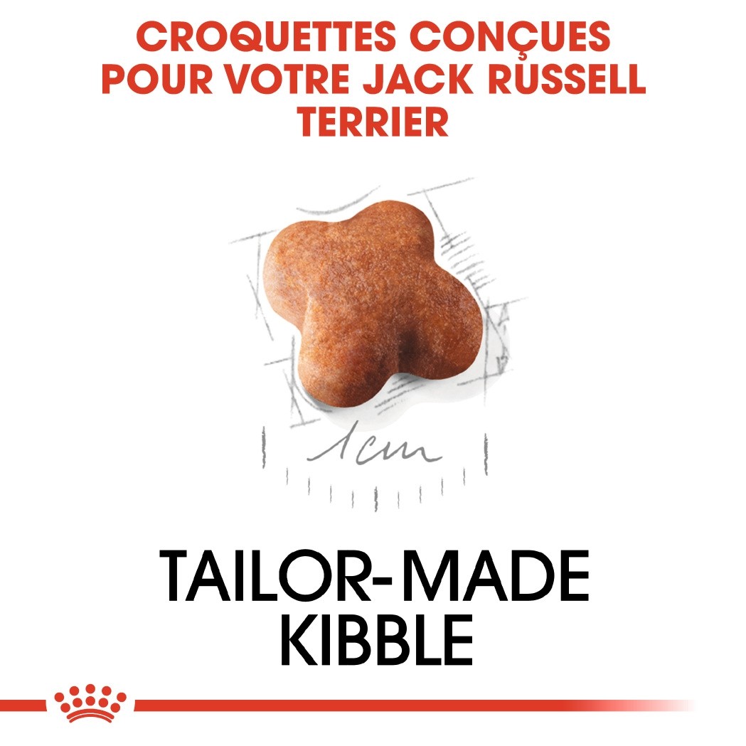 Royal Canin Jack Russell Puppy - croquettes chiot