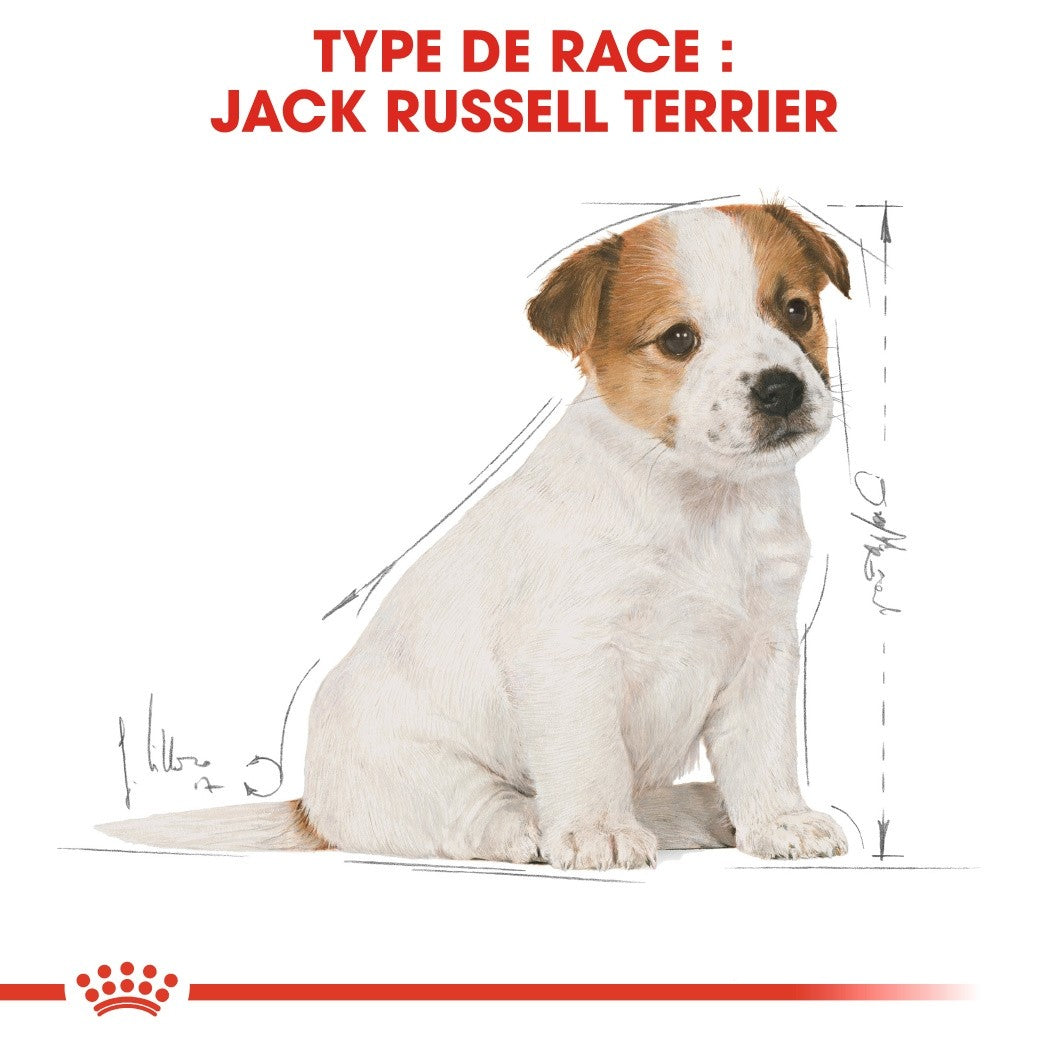 Royal Canin Jack Russell Puppy - croquettes chiot