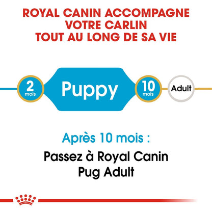 Royal Canin Carlin Puppy Carlin - croquettes chiot