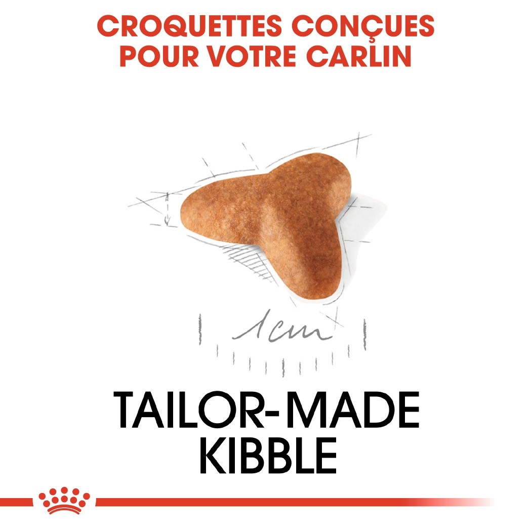 Royal Canin Carlin Puppy Carlin - croquettes chiot