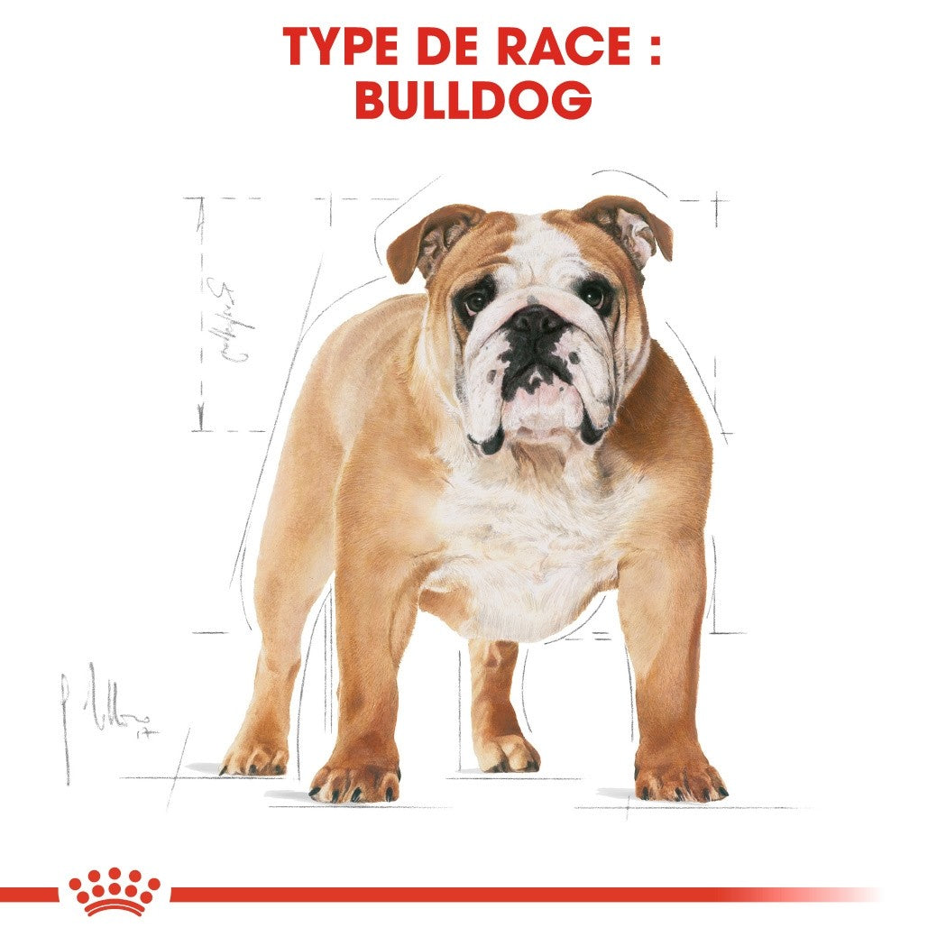 Royal Canin Bulldog Adult (Bulldog Anglais) - croquettes chien