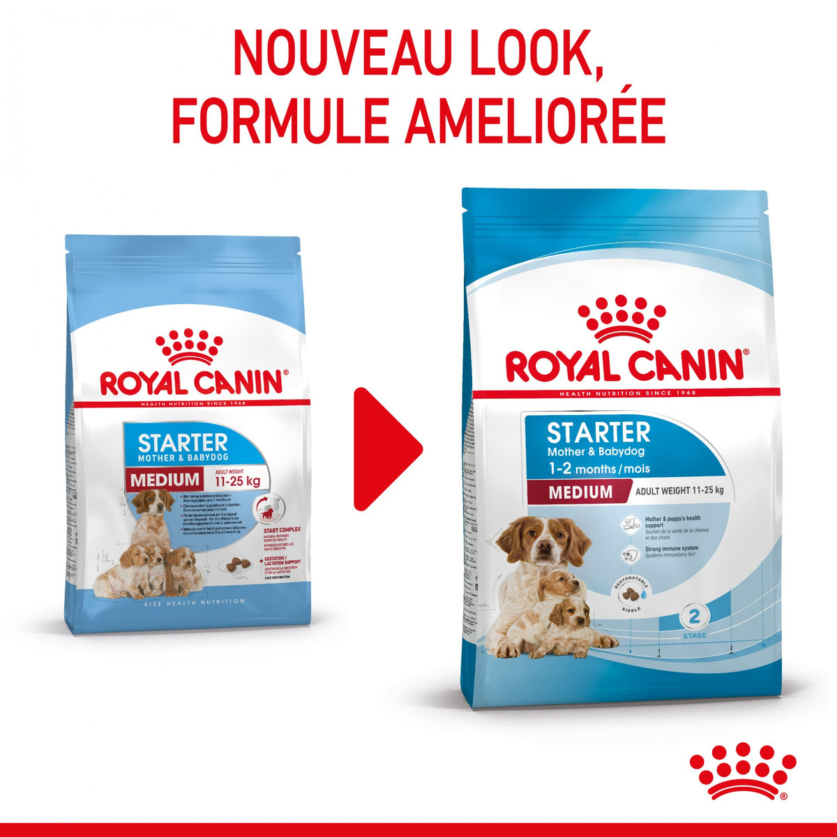 Royal Canin Medium Starter - croquettes chiot, chienne