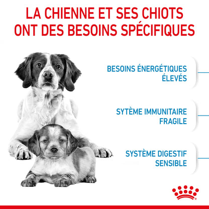 Royal Canin Medium Starter - croquettes chiot, chienne