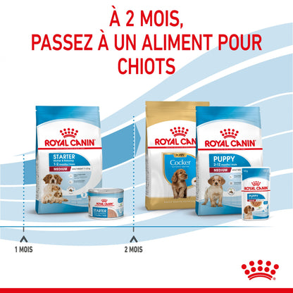 Royal Canin Medium Starter - croquettes chiot, chienne