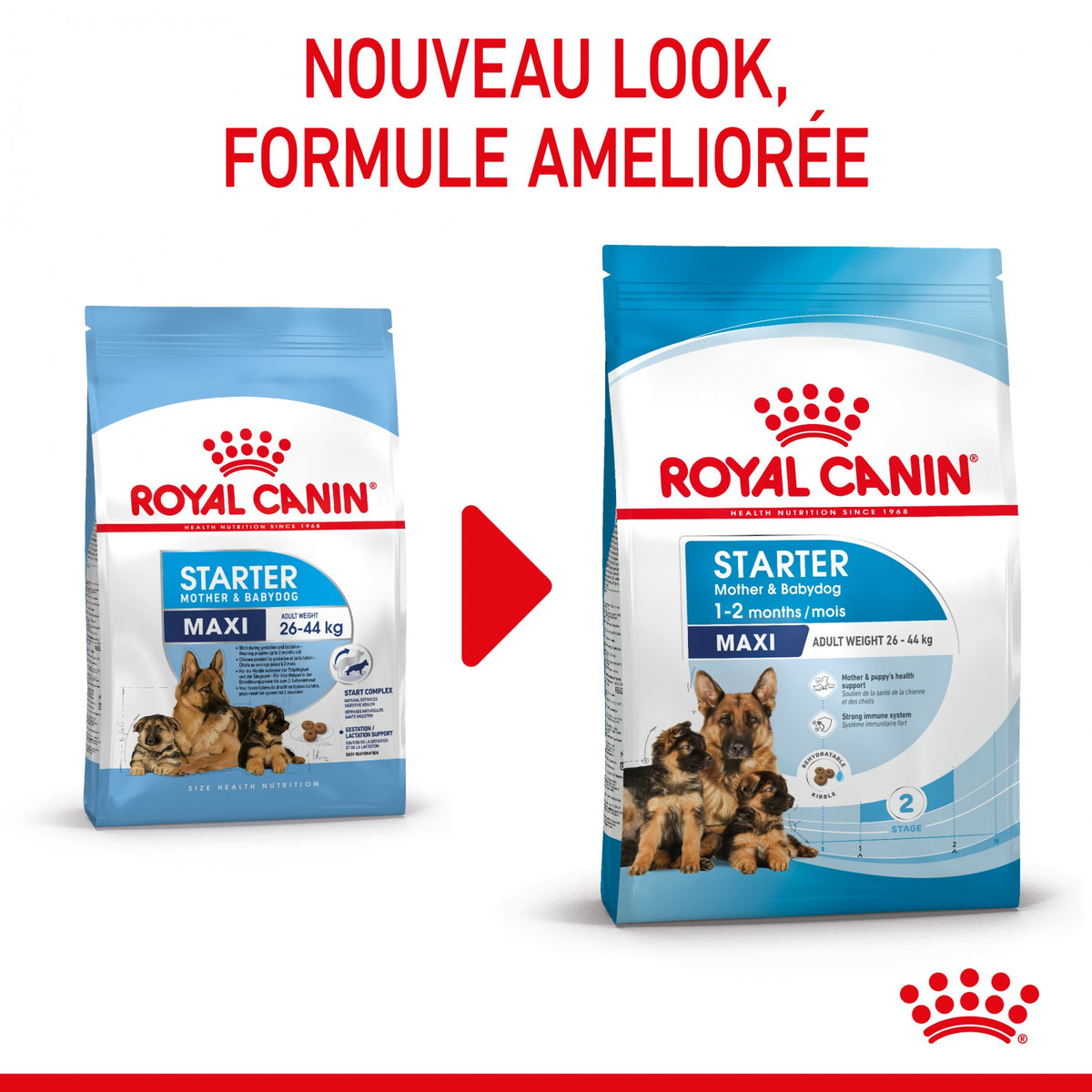 ROYAL CANIN Starter Maxi Mother &amp; Babydog - Croquettes pour chiot