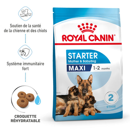 ROYAL CANIN Starter Maxi Mother &amp; Babydog - Croquettes pour chiot