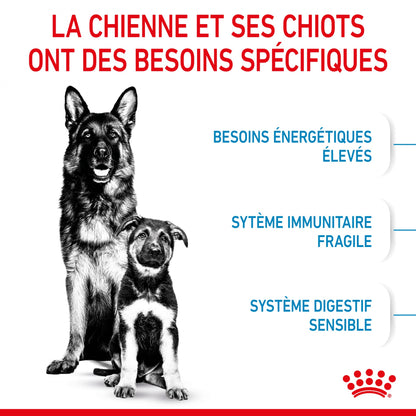 ROYAL CANIN Starter Maxi Mother &amp; Babydog - Croquettes pour chiot