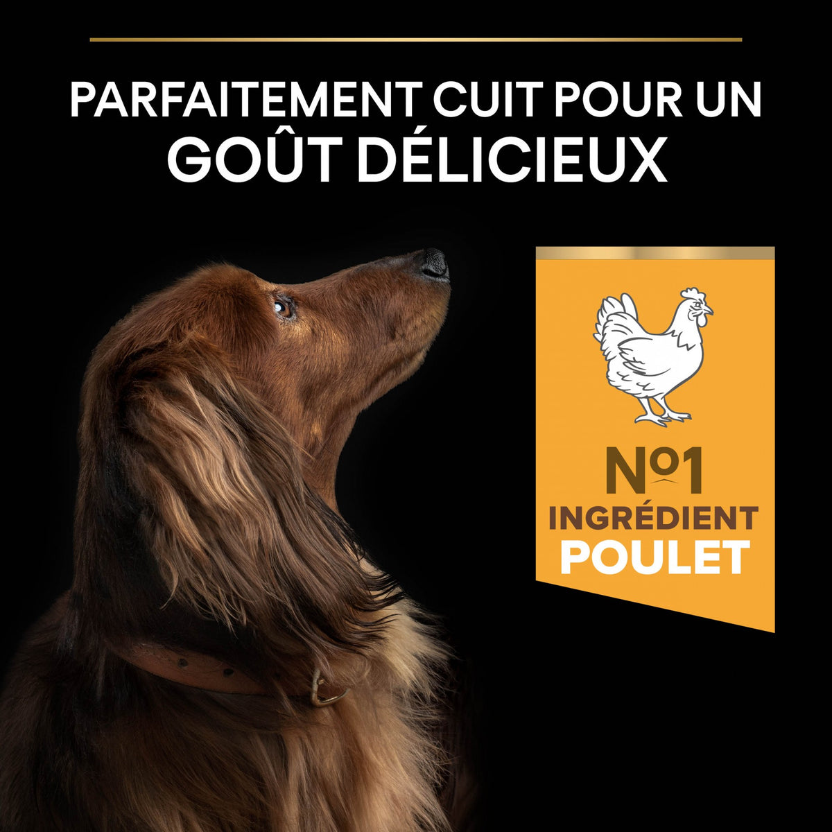 Pro Plan Light/Sterilised Small &amp; Mini Adult au poulet - croquettes chien