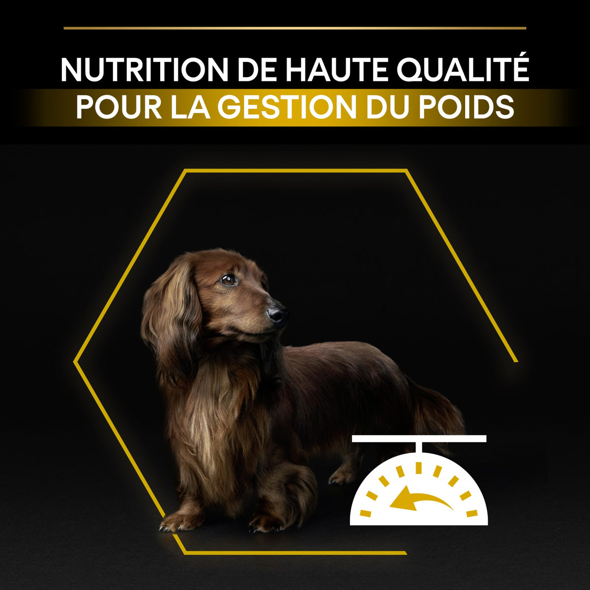 Pro Plan Light/Sterilised Small &amp; Mini Adult au poulet - croquettes chien