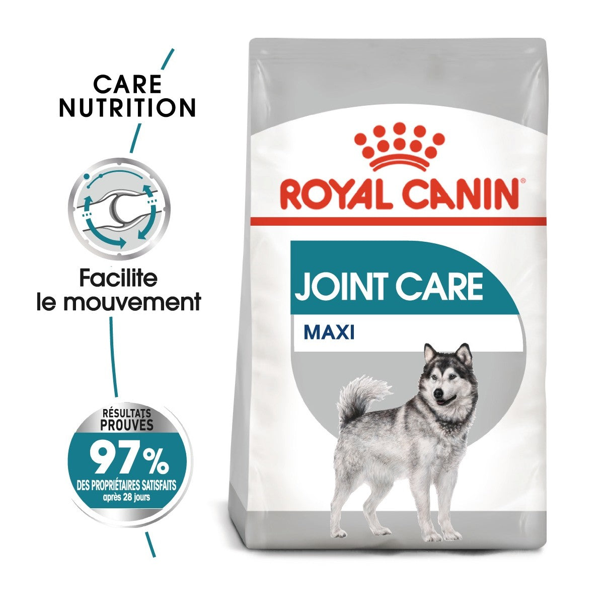 Royal Canin Maxi Joint Care - croquettes chien
