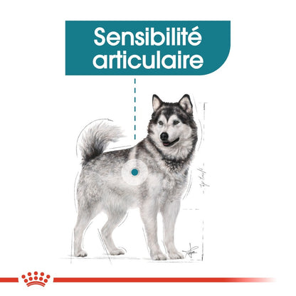 Royal Canin Maxi Joint Care - croquettes chien