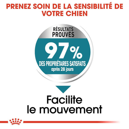 Royal Canin Maxi Joint Care - croquettes chien