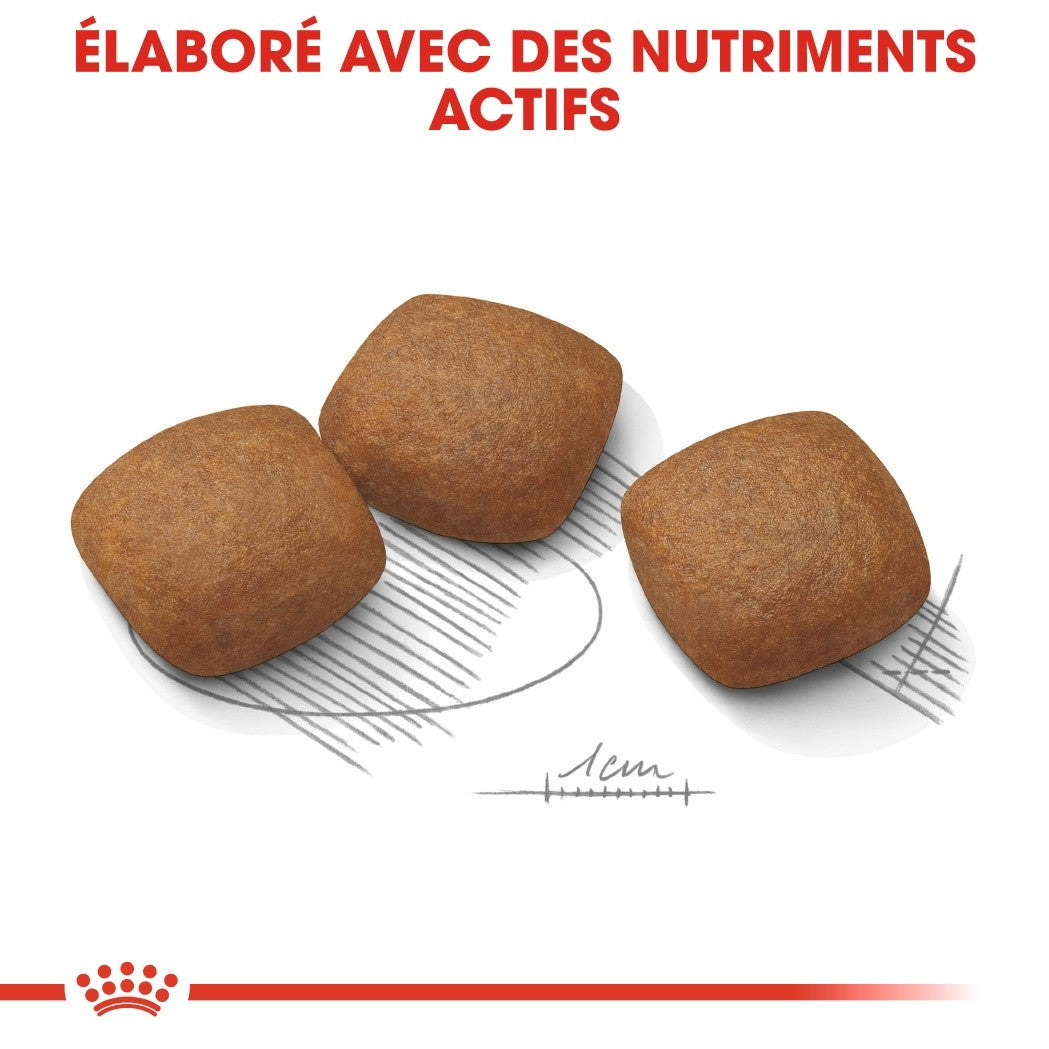 Royal Canin Maxi Joint Care - croquettes chien