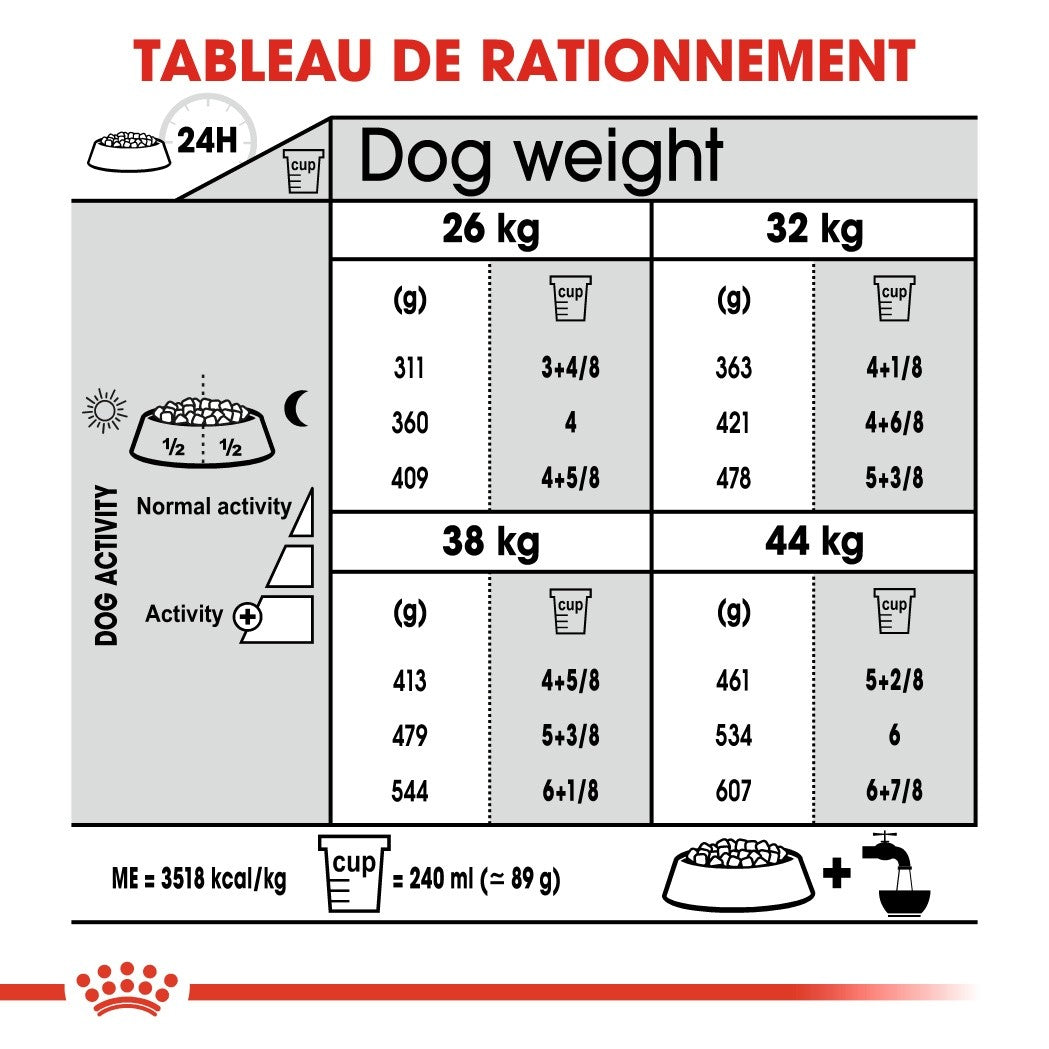 Royal Canin Maxi Joint Care - croquettes chien
