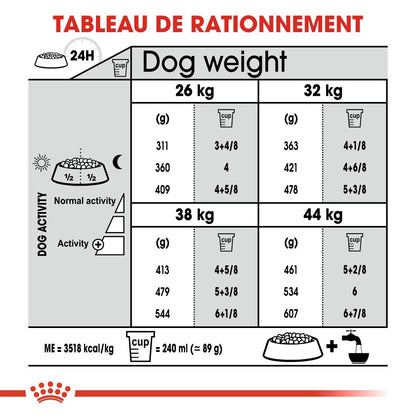 Royal Canin Maxi Joint Care - croquettes chien