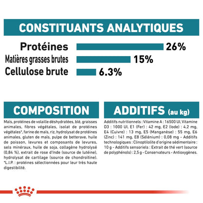 Royal Canin Maxi Joint Care - croquettes chien