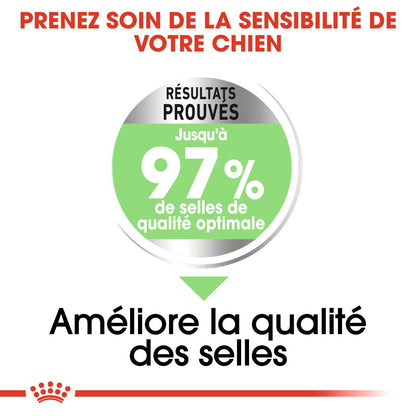 Royal Canin Maxi Digestive Care - Croquettes pour chien