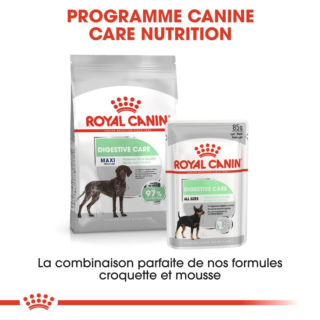 Royal Canin Maxi Digestive Care - Croquettes pour chien