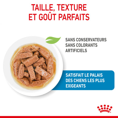 Royal Canin Maxi Puppy en sauce - pâtée chiot