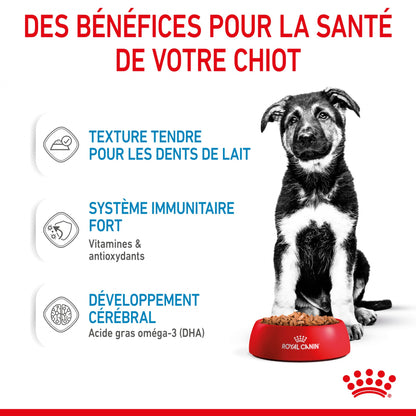 Royal Canin Maxi Puppy en sauce - pâtée chiot