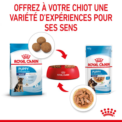 Royal Canin Maxi Puppy en sauce - pâtée chiot