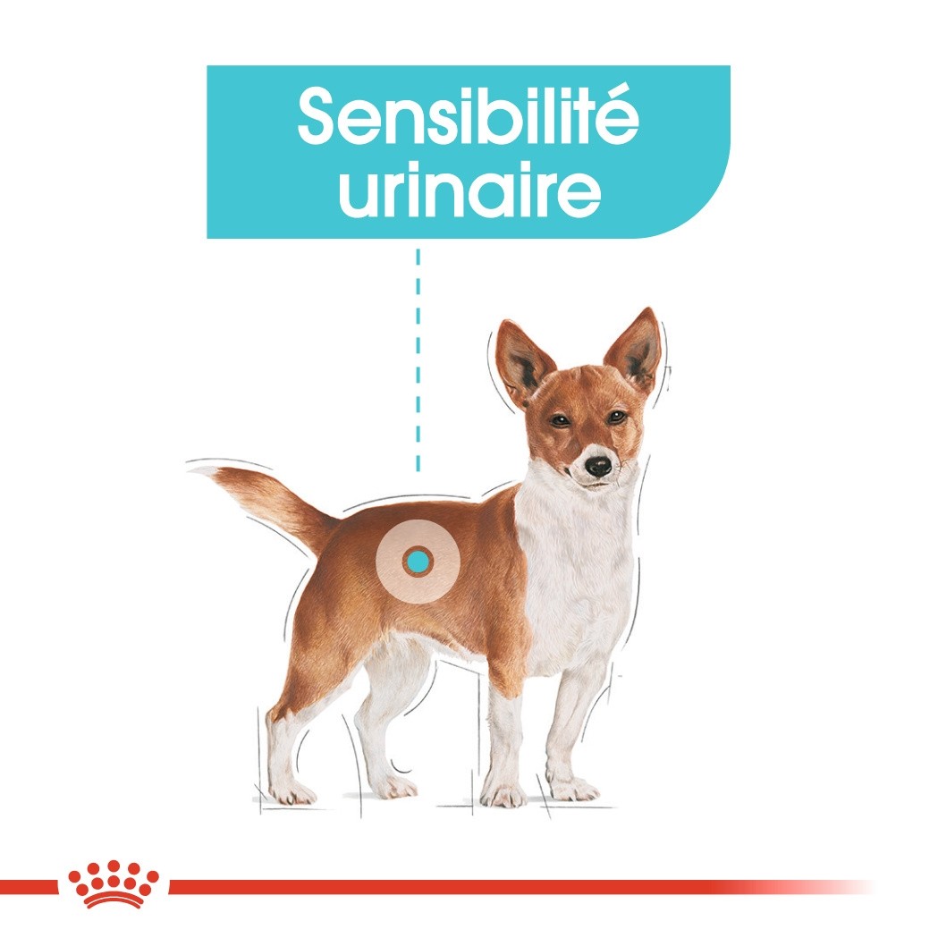 Royal Canin Urinary Care - pâtée chien