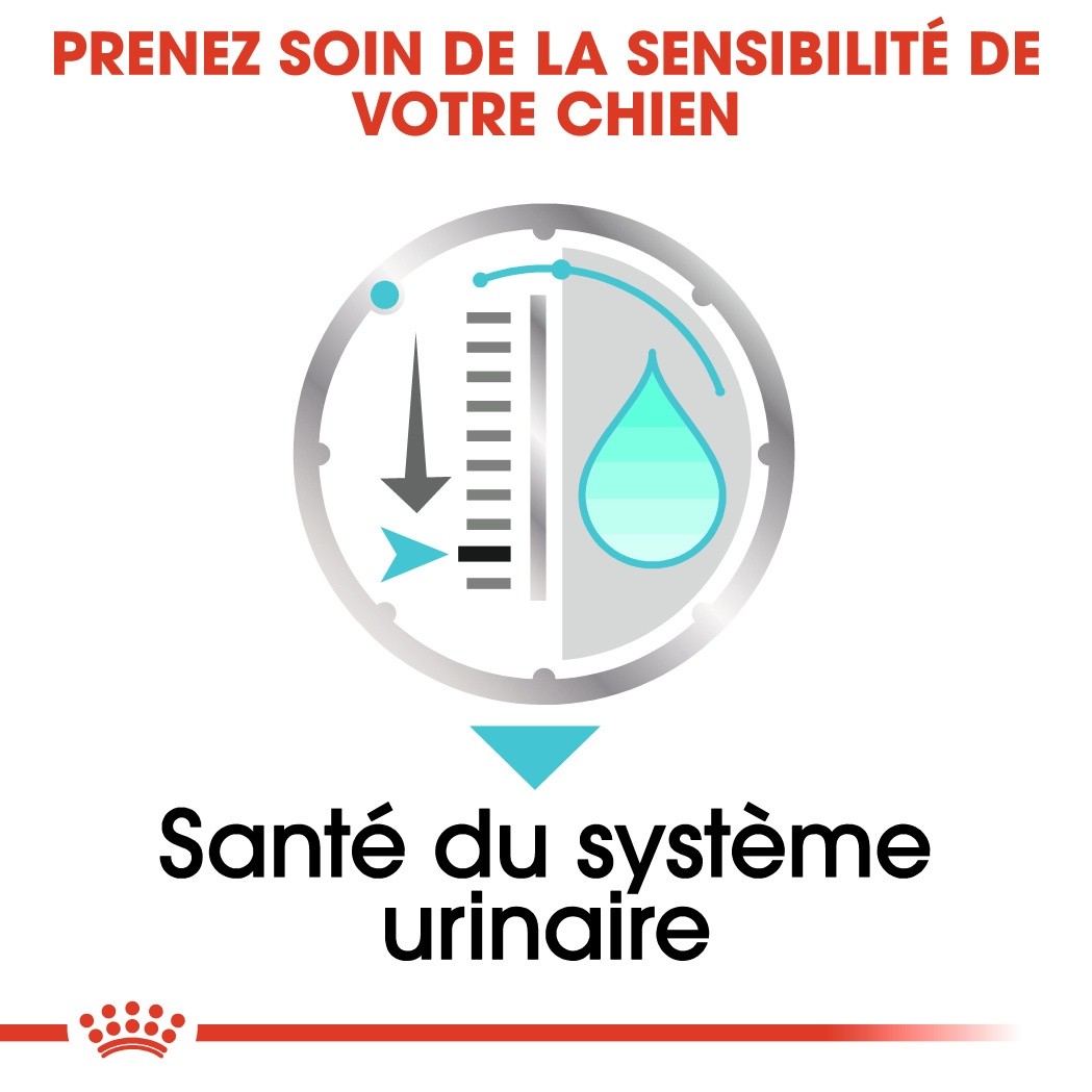 Royal Canin Urinary Care - pâtée chien