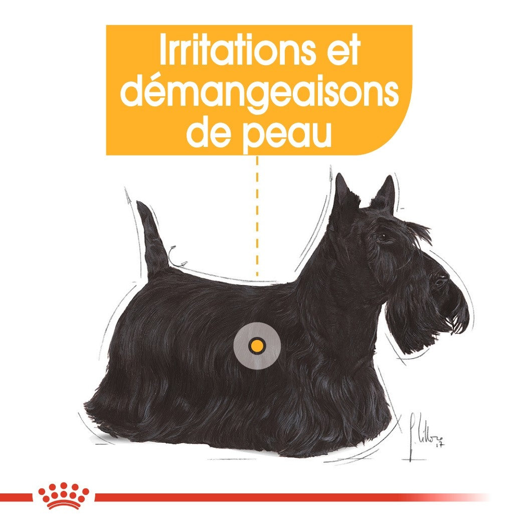 Royal Canin Dermacomfort - pâtée chien