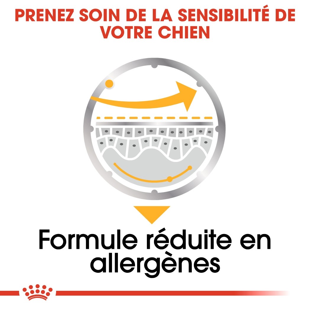 Royal Canin Dermacomfort - pâtée chien