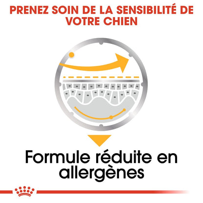 Royal Canin Dermacomfort - pâtée chien