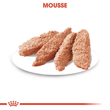 Royal Canin Digestive Care - Pâtée pour chien
