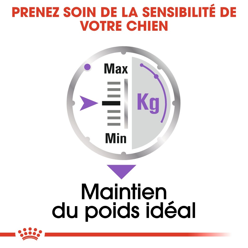 Royal Canin Sterilised - pâtée chien