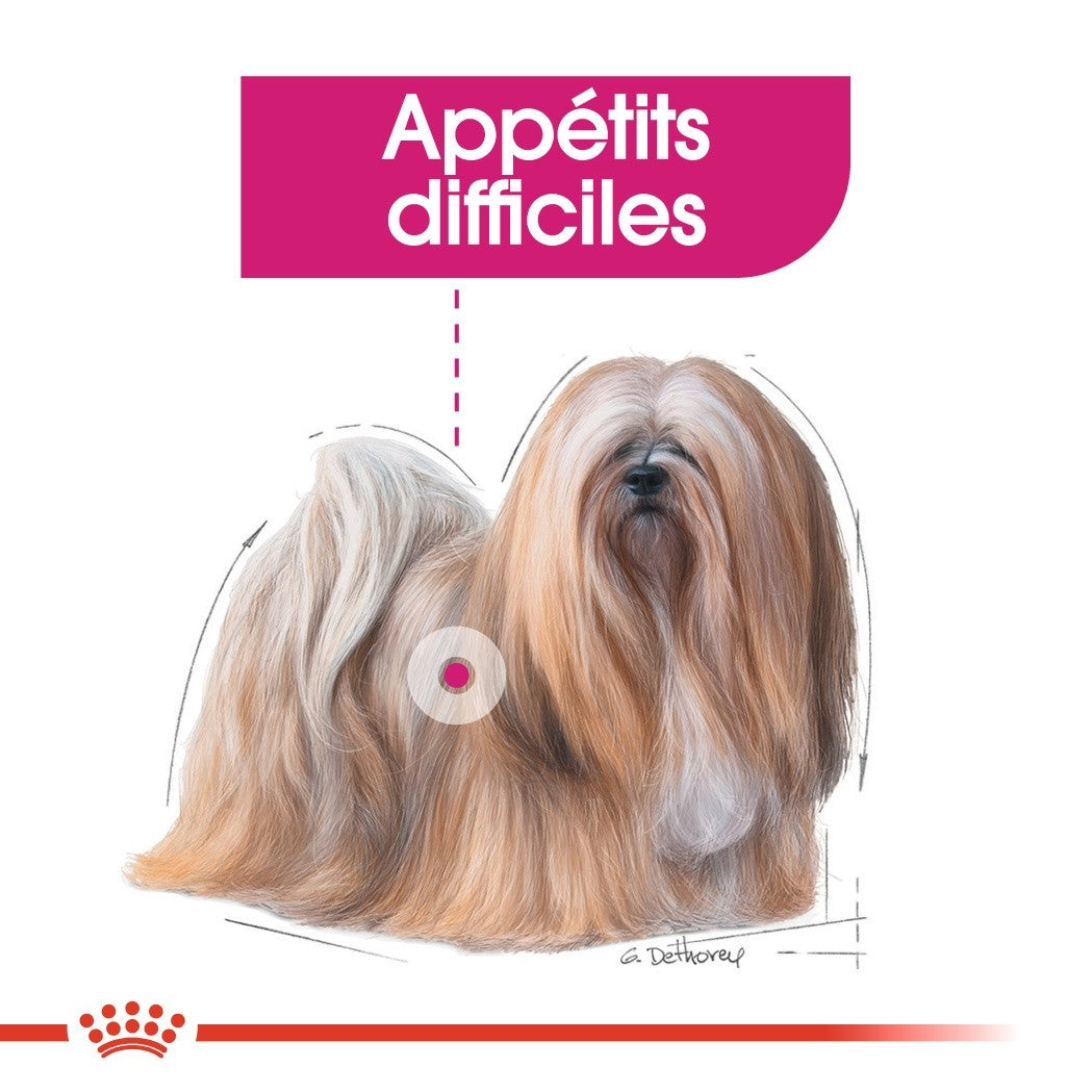 Royal Canin Exigent - pâtée chien